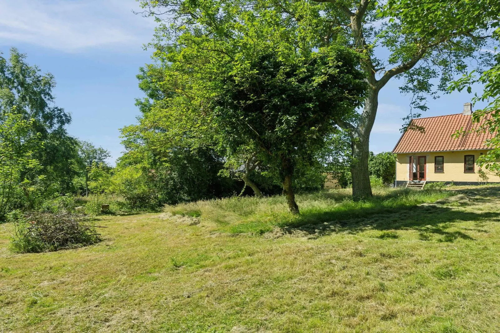 5 Sterne Ferienhaus in Tranekær-Im Freien