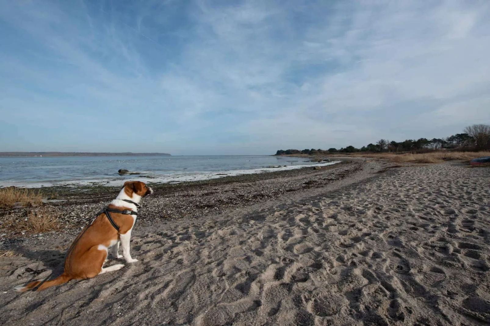 5 star holiday home in Holbæk