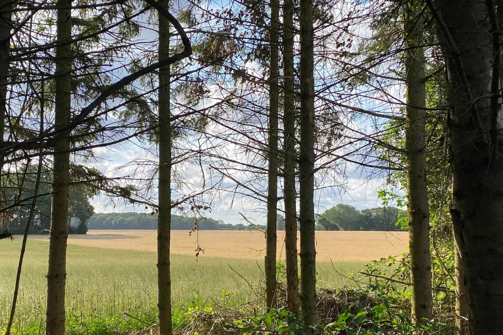 5 etoiles maison de vacances a Nakskov-Extérieur