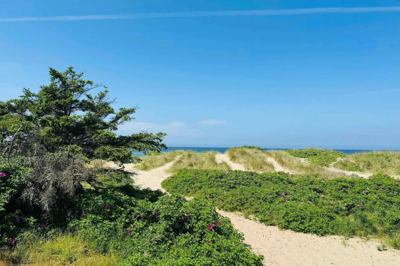 5 Sterne Ferienhaus in Græsted-Im Freien