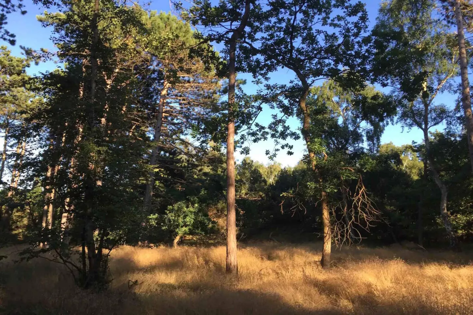 5 etoiles maison de vacances a Nykøbing Sj-Extérieur