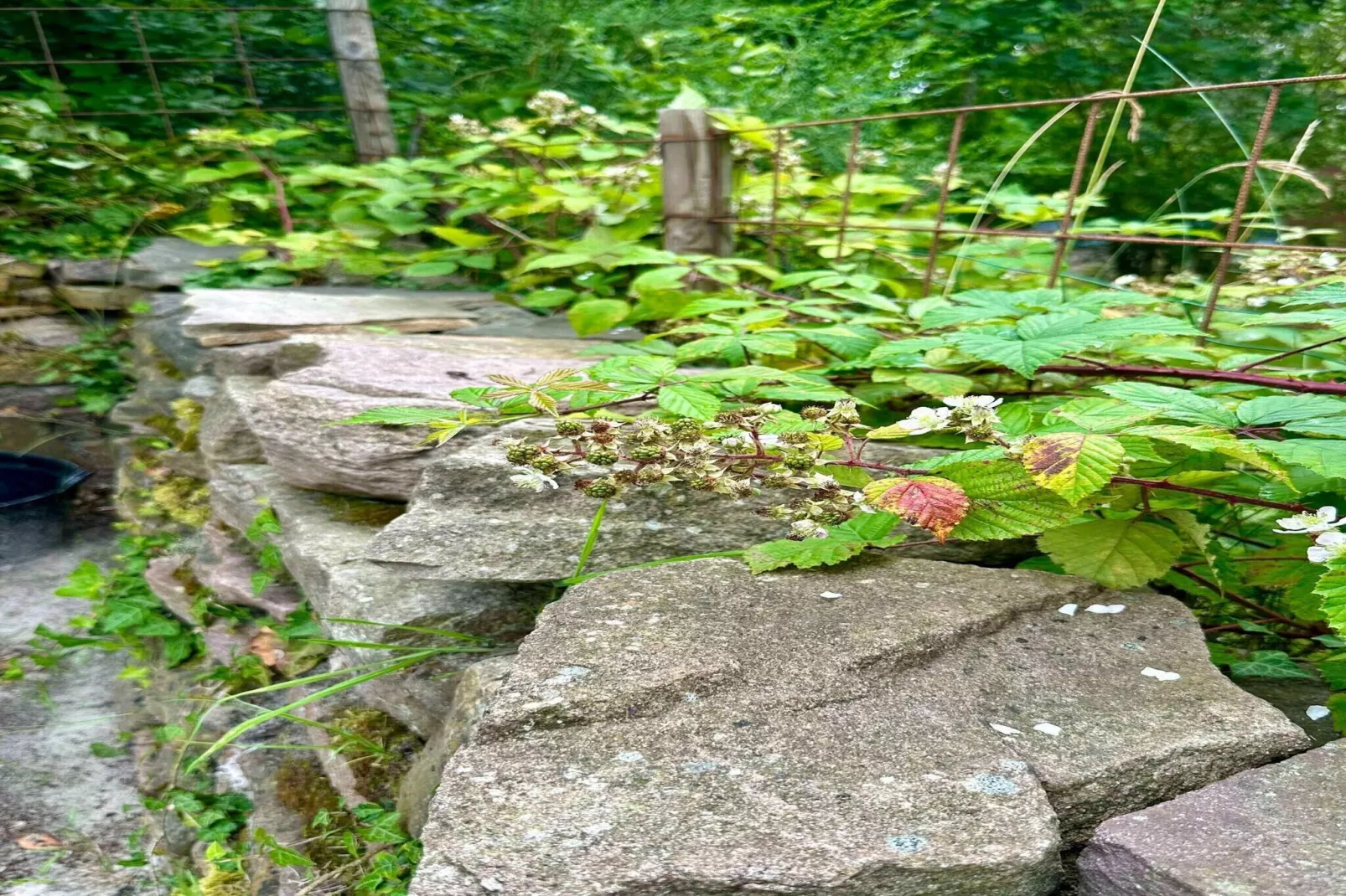 5 star holiday home in Nexø-Outdoor