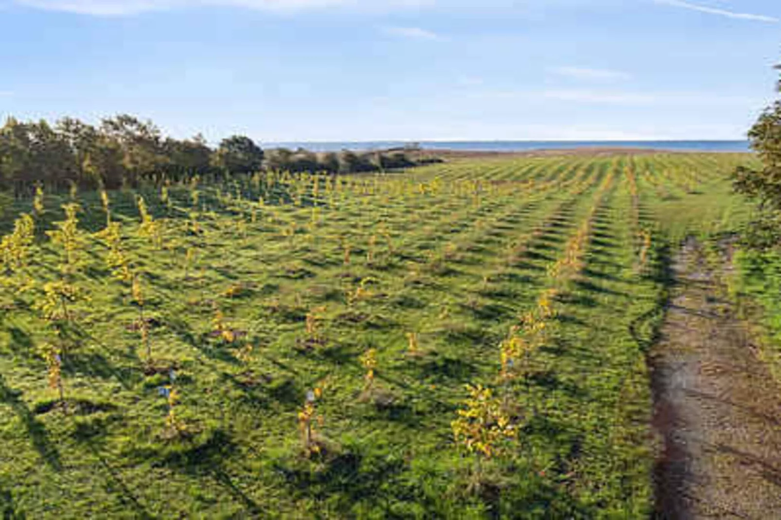 4 star holiday home in Karrebæksminde-Untagged