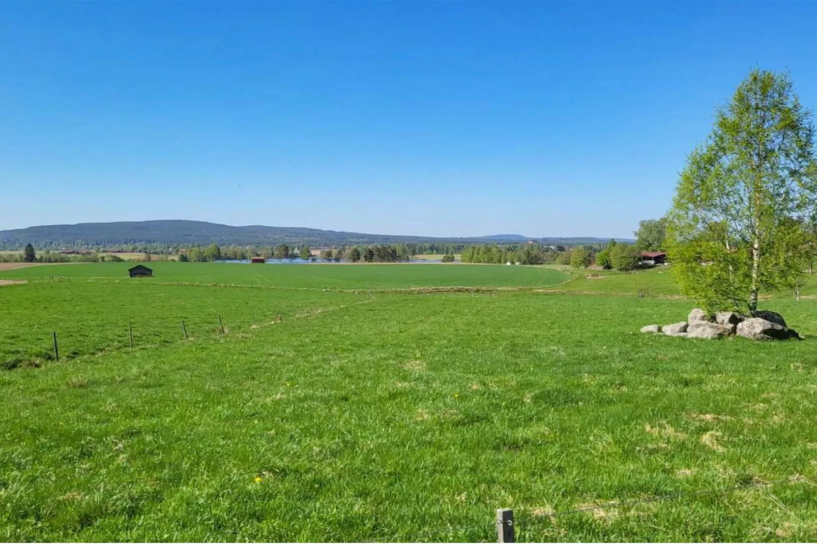 Escapade confortable près de la forêt et du lac-Extérieur