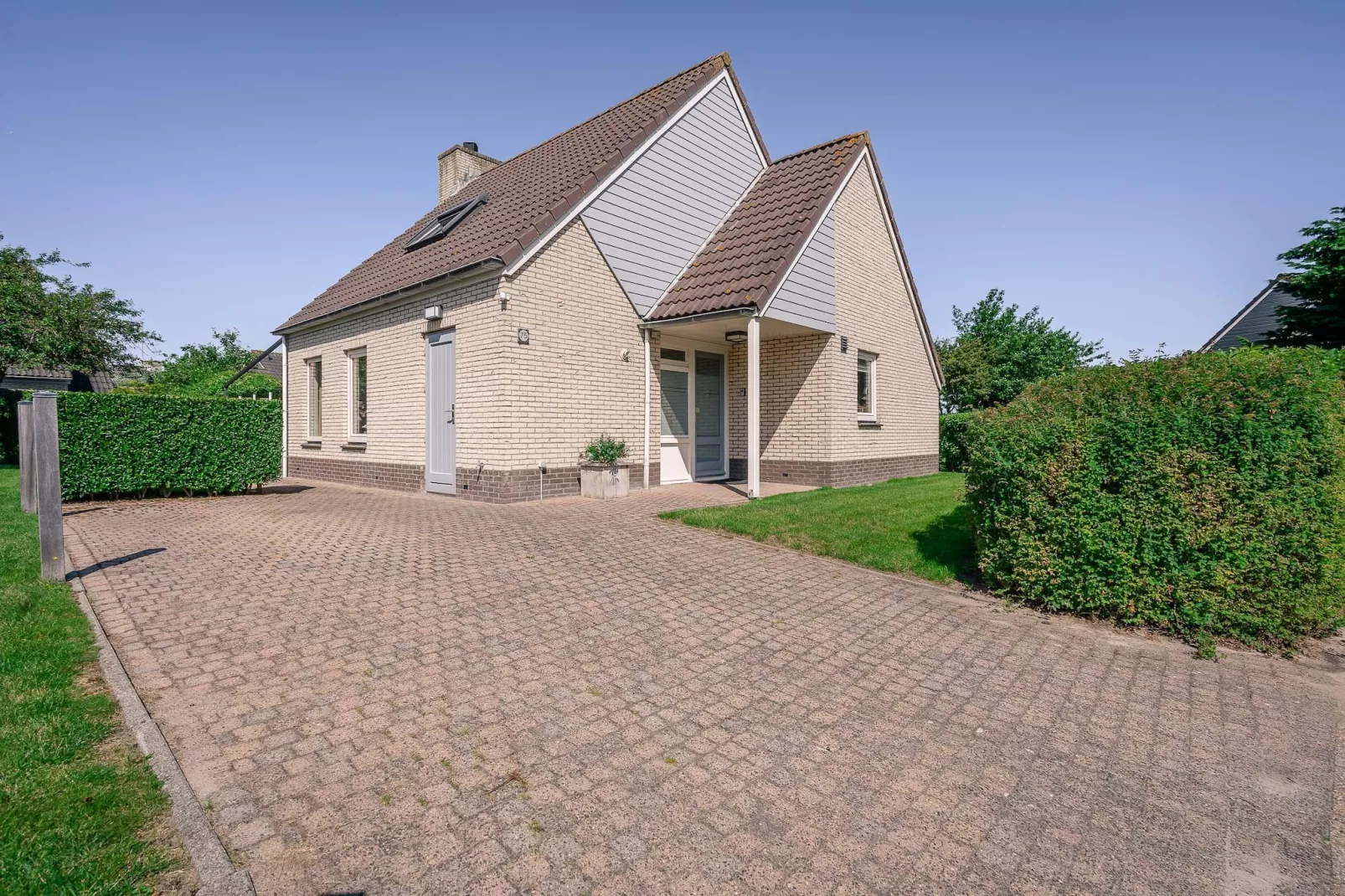 Kamperfoelie 75-Extérieur été