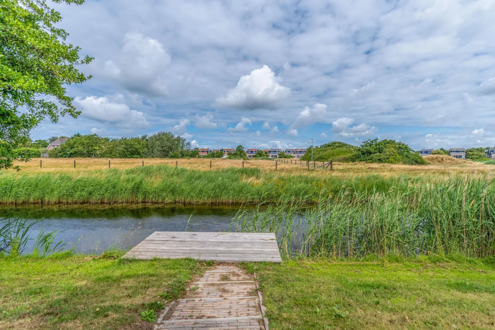 Kamperfoelie 69-Jardins en été