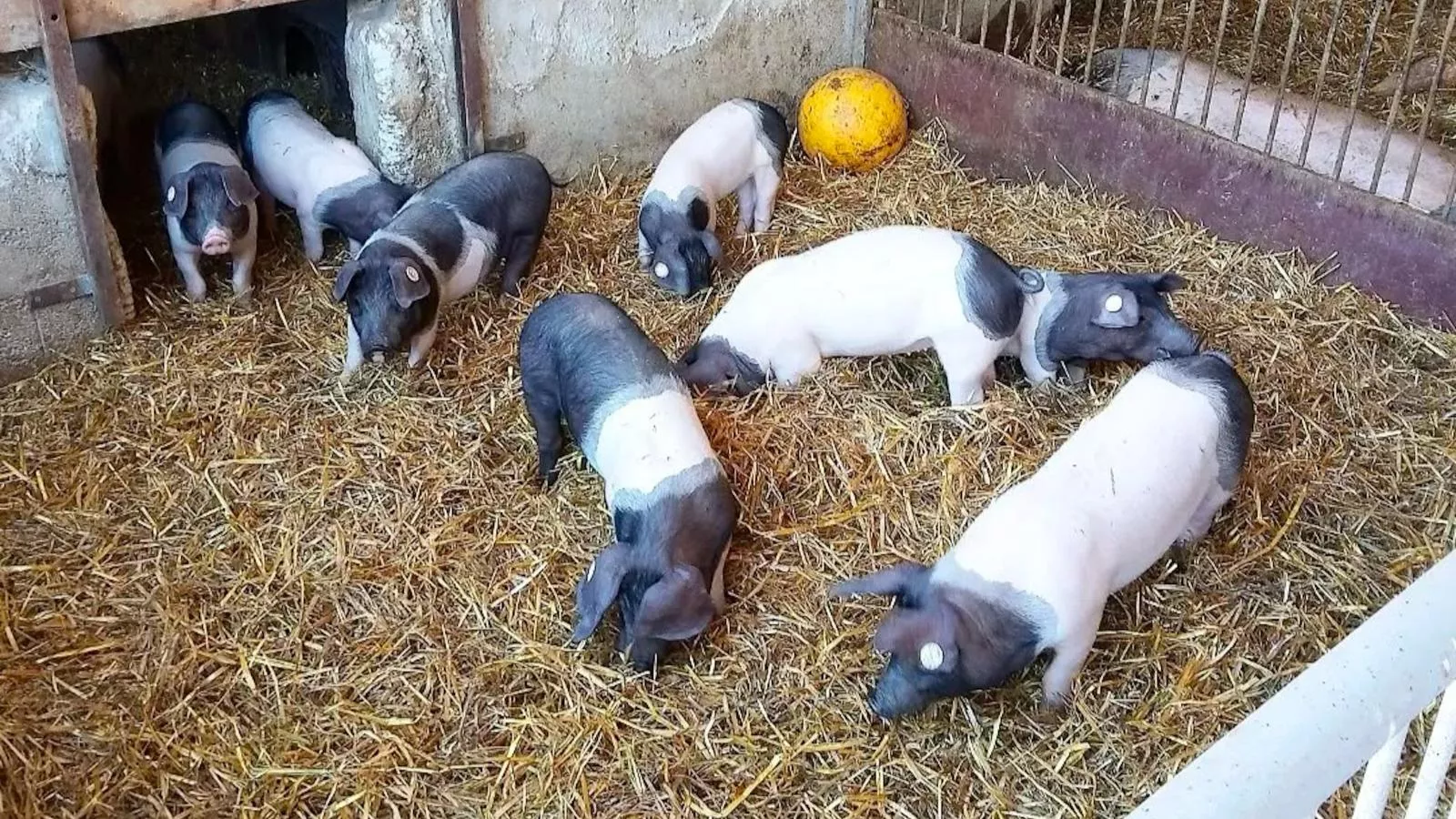 Waldacher Hof-Facilities