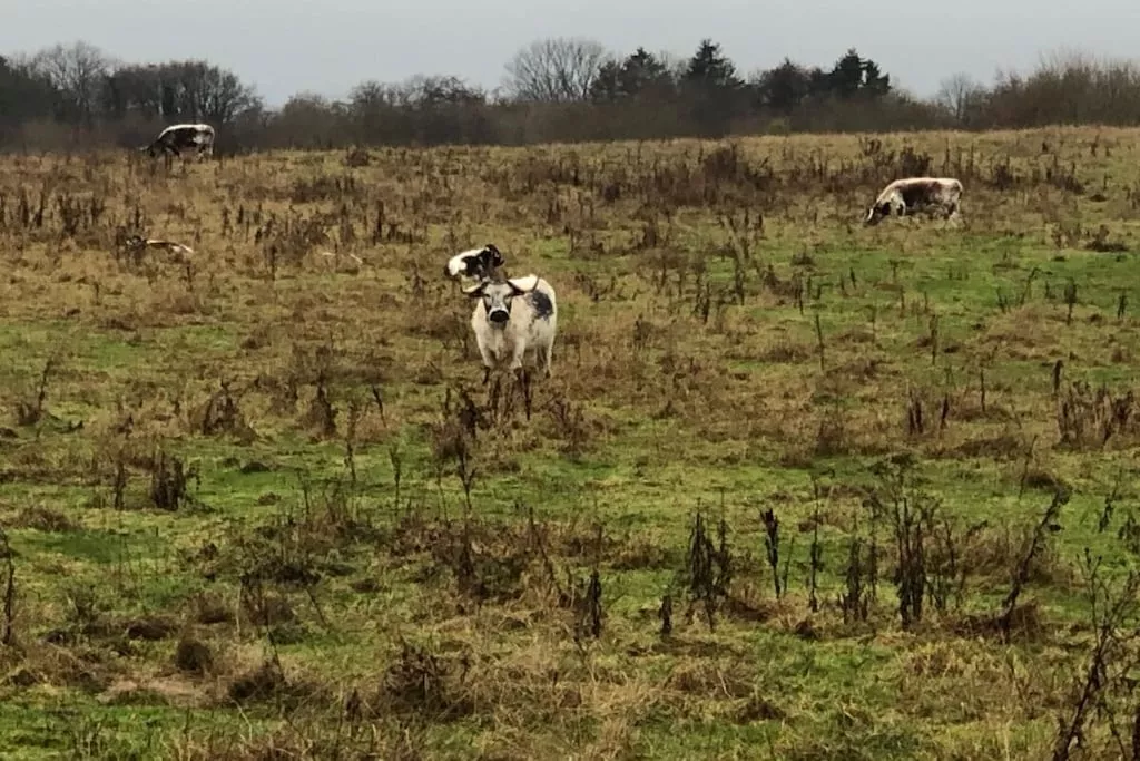 516982-Nicht zugeordnet