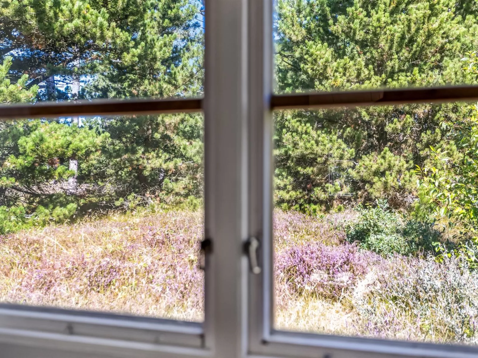 "Reinhardt" - 800m from the sea-Draußen