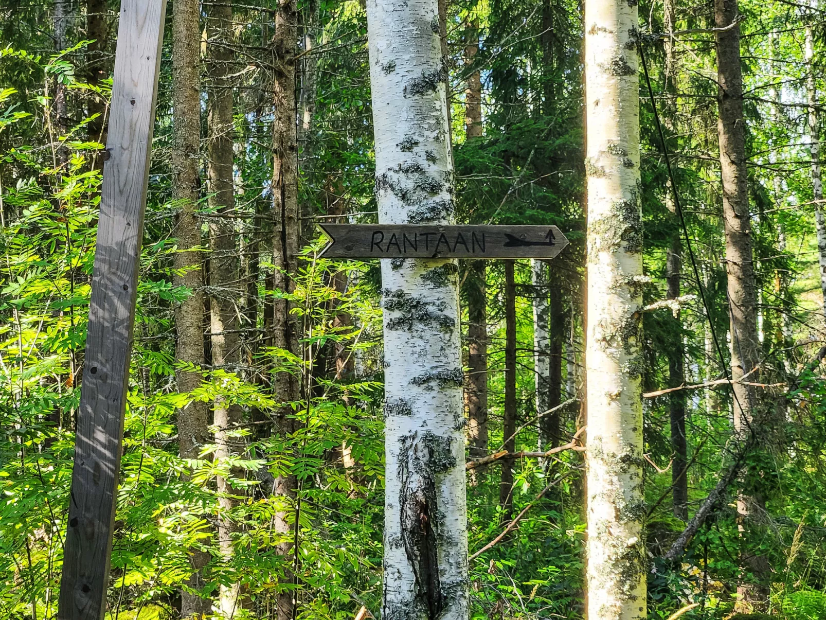 Villa soittoranta-Drinnen