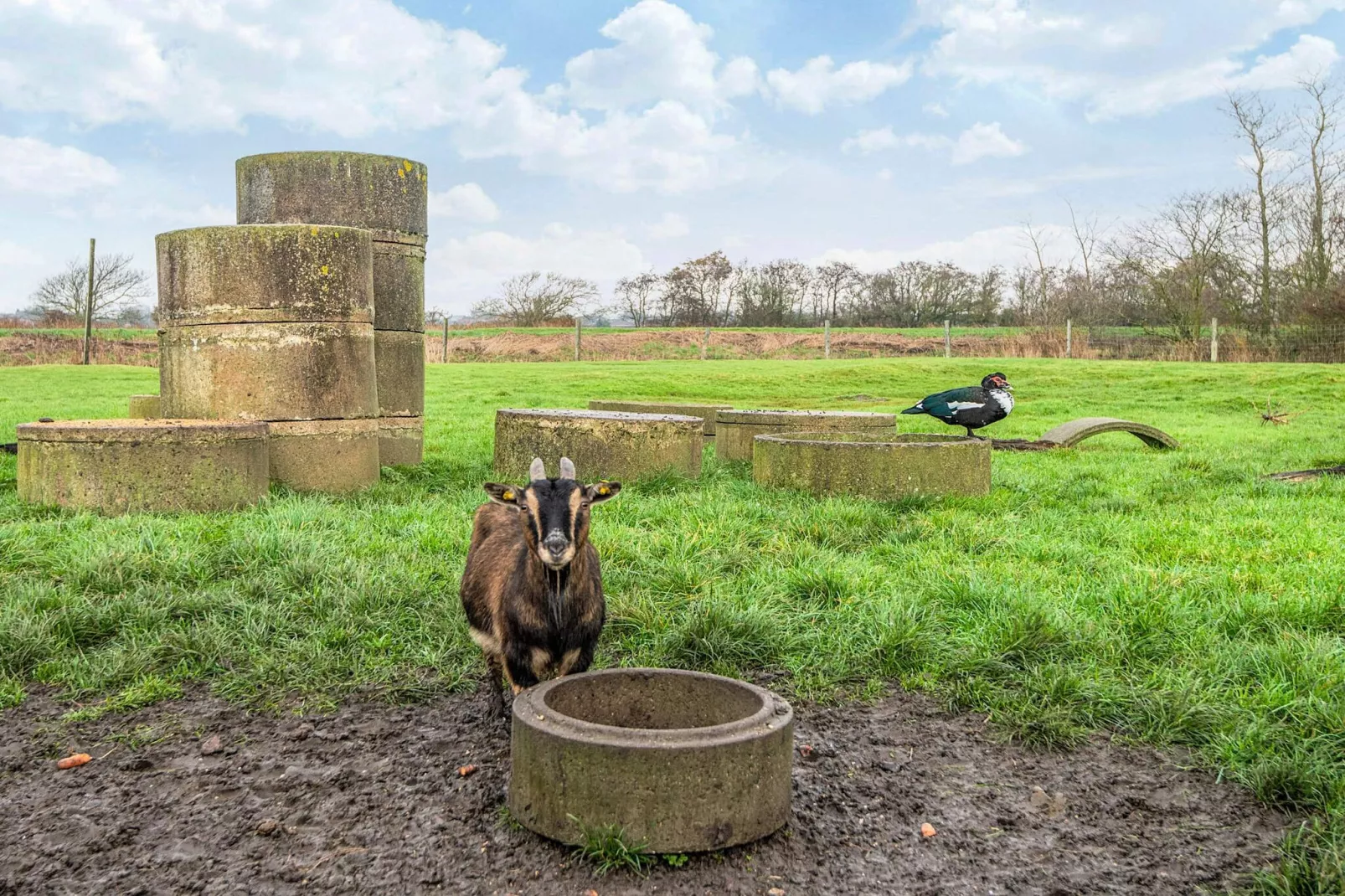4 Personen Ferienhaus in Højer-Nicht zugeordnet