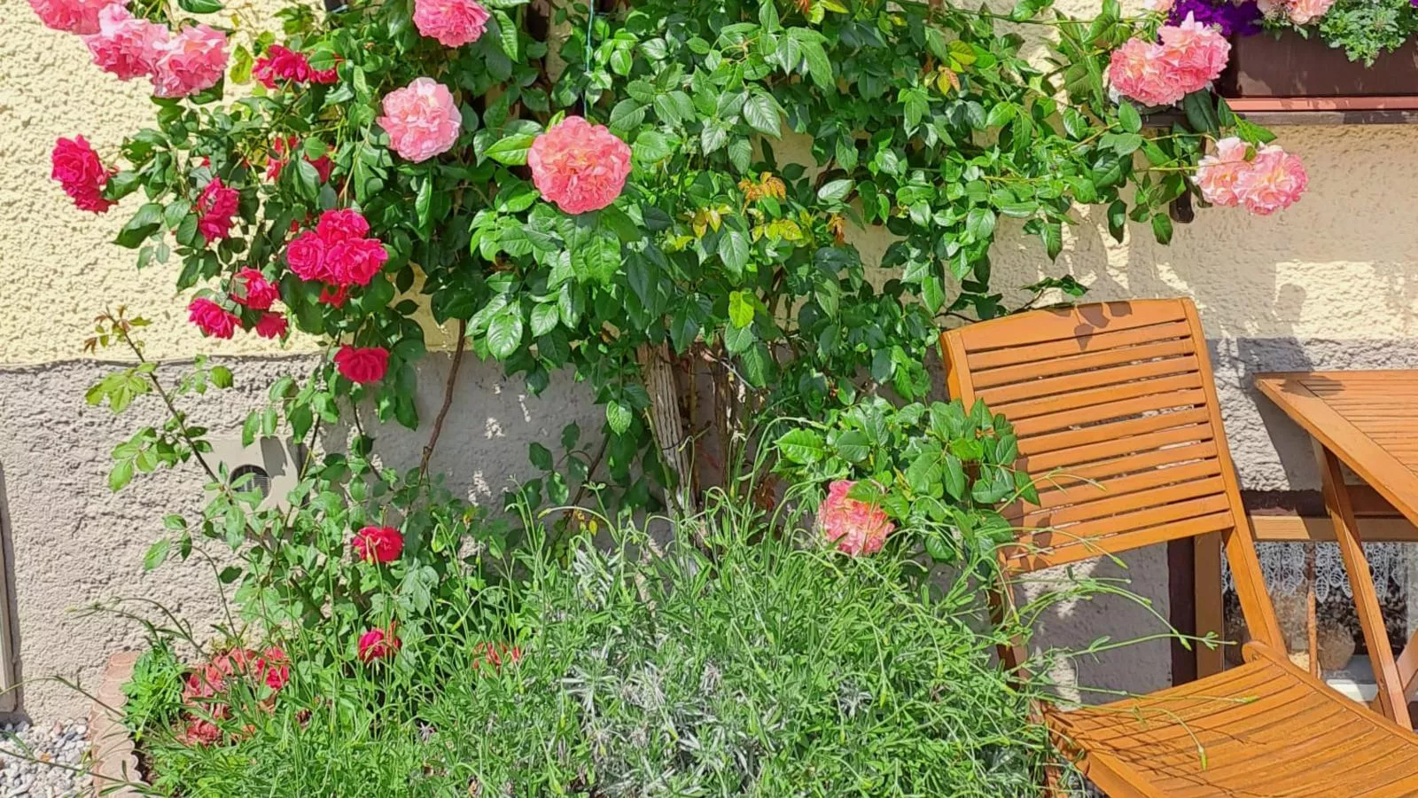 Maria-Terrasse/Balkon