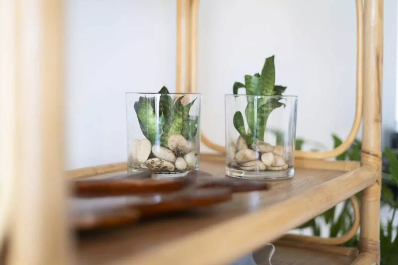 Résidence Casa Da Maresia &ndash; Le Refuge C&ocirc;tier-Non tagué