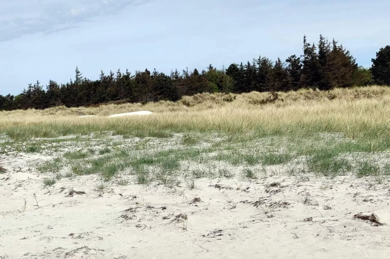 6 Personen Ferienhaus in Højby-Wasserblick