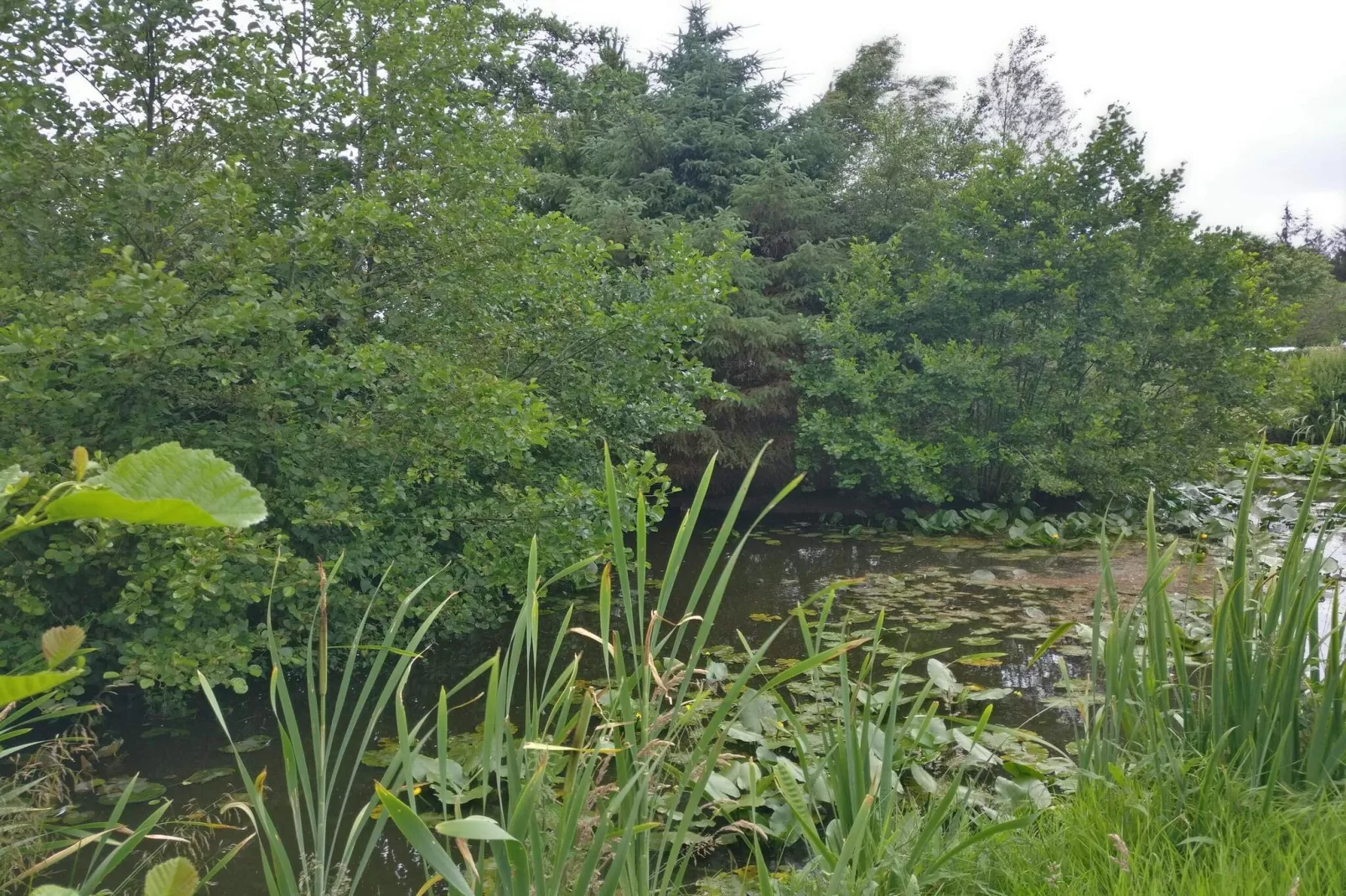Maison de vacances pour 4 a Nørre Nebel-Vue sur l'eau