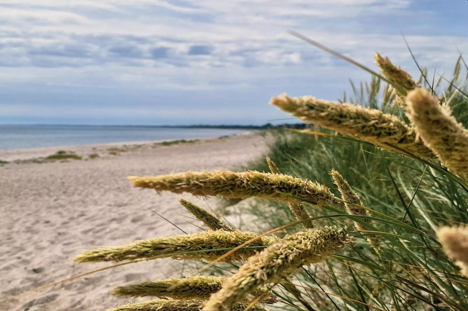 8 person holiday home in Idestrup-Water view