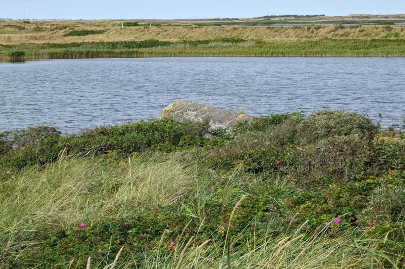 Kustliche Ruhe in Nymindegab-By Traum-Wasserblick