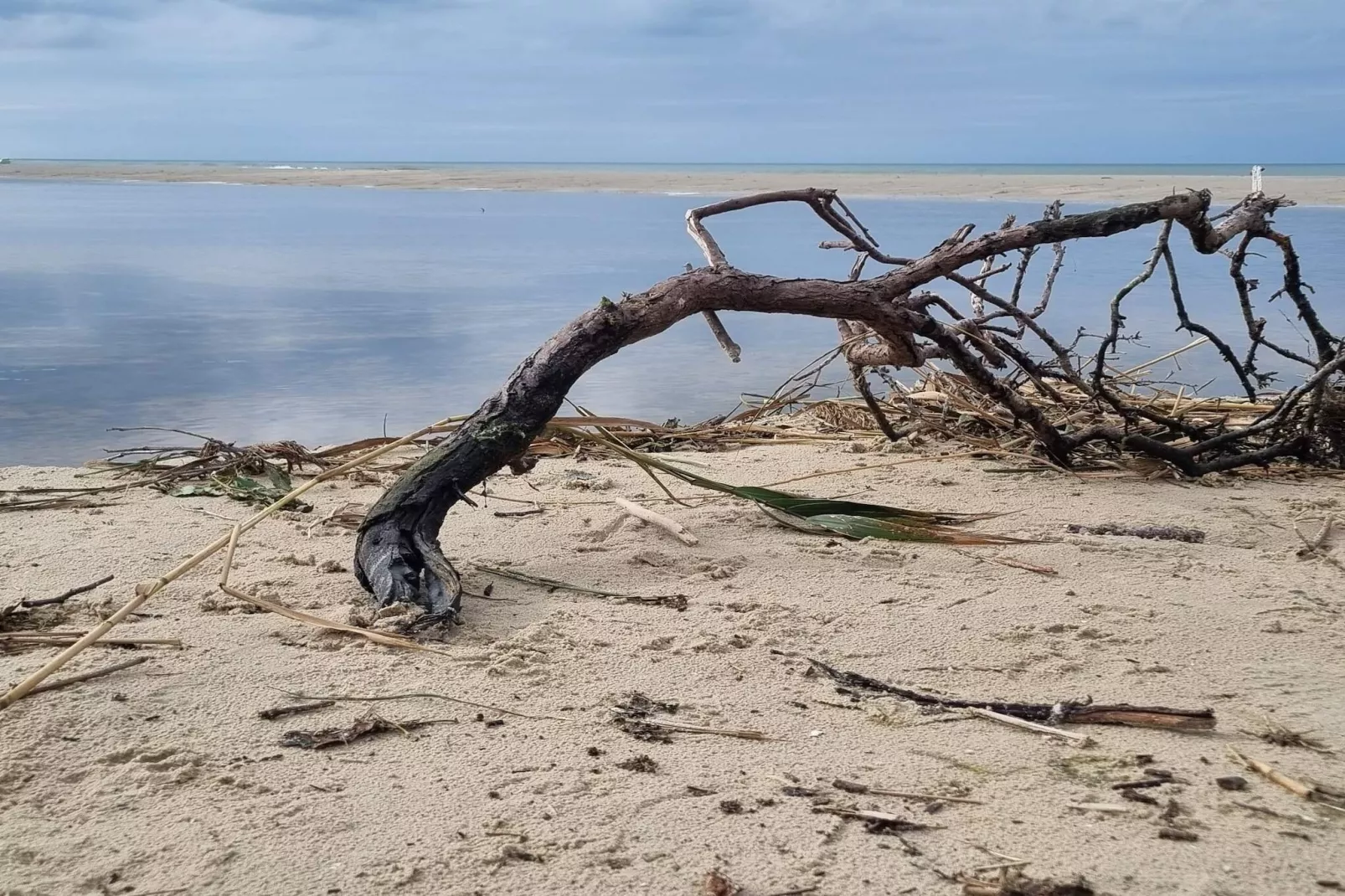 6 person holiday home in Bindslev-Water view