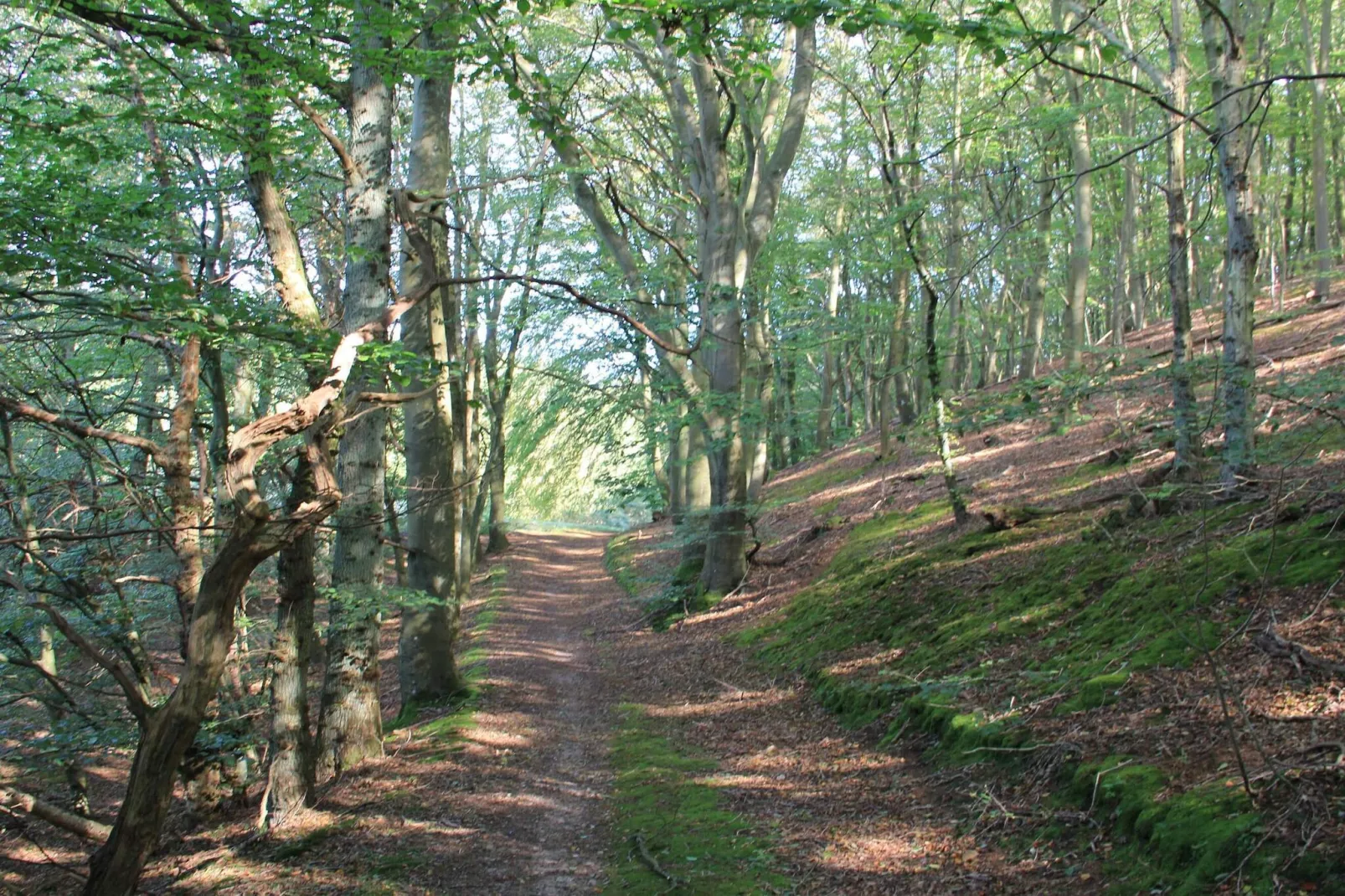 Maison de vacances pour 6 a Ebeltoft-Non tagué