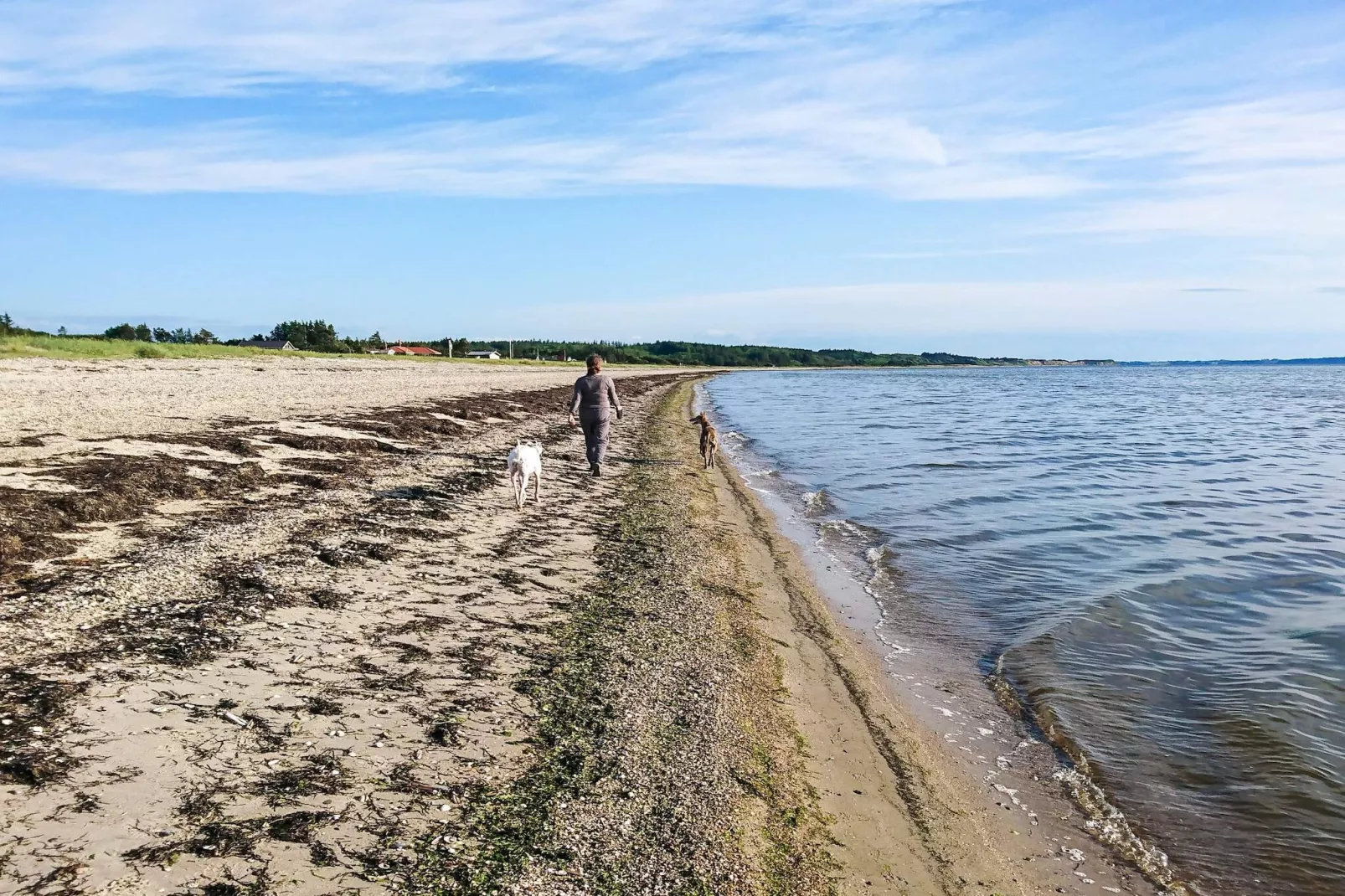 Secluded Forest Haven-By Traum-Water view