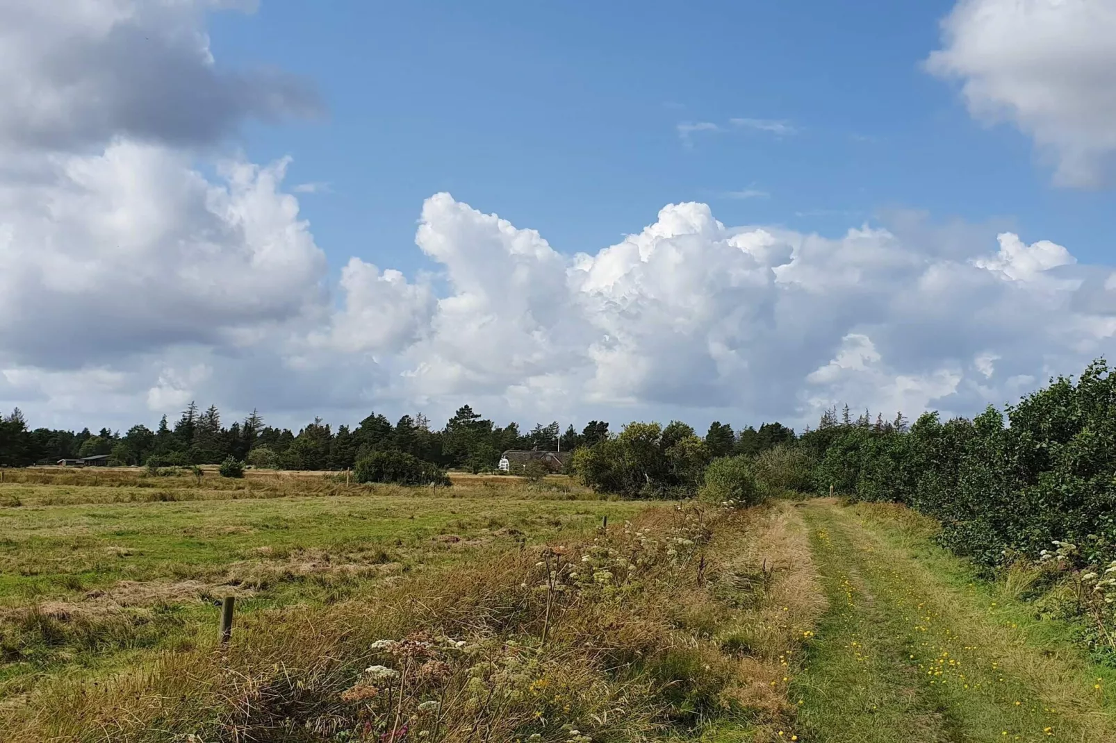 4 person holiday home in Oksbøl-Untagged