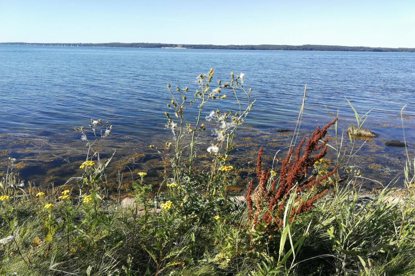 5 person holiday home in Bogø By-Water view