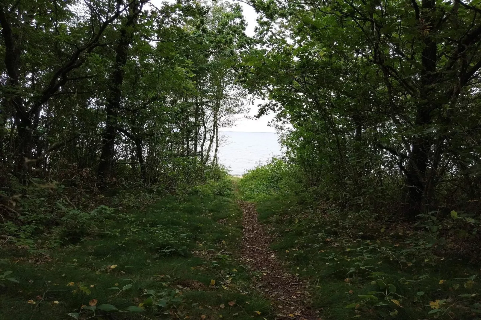 5 person holiday home in Roslev-By Traum-Water view