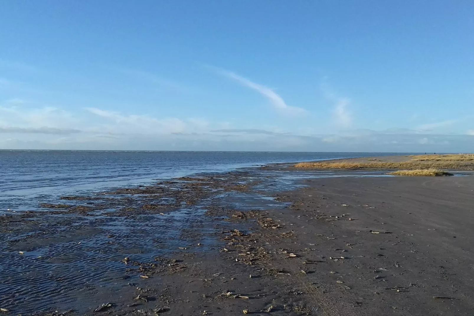 Retraite confortable a Sonderho -- By Traum Ferienwohnungen-Vue sur l'eau