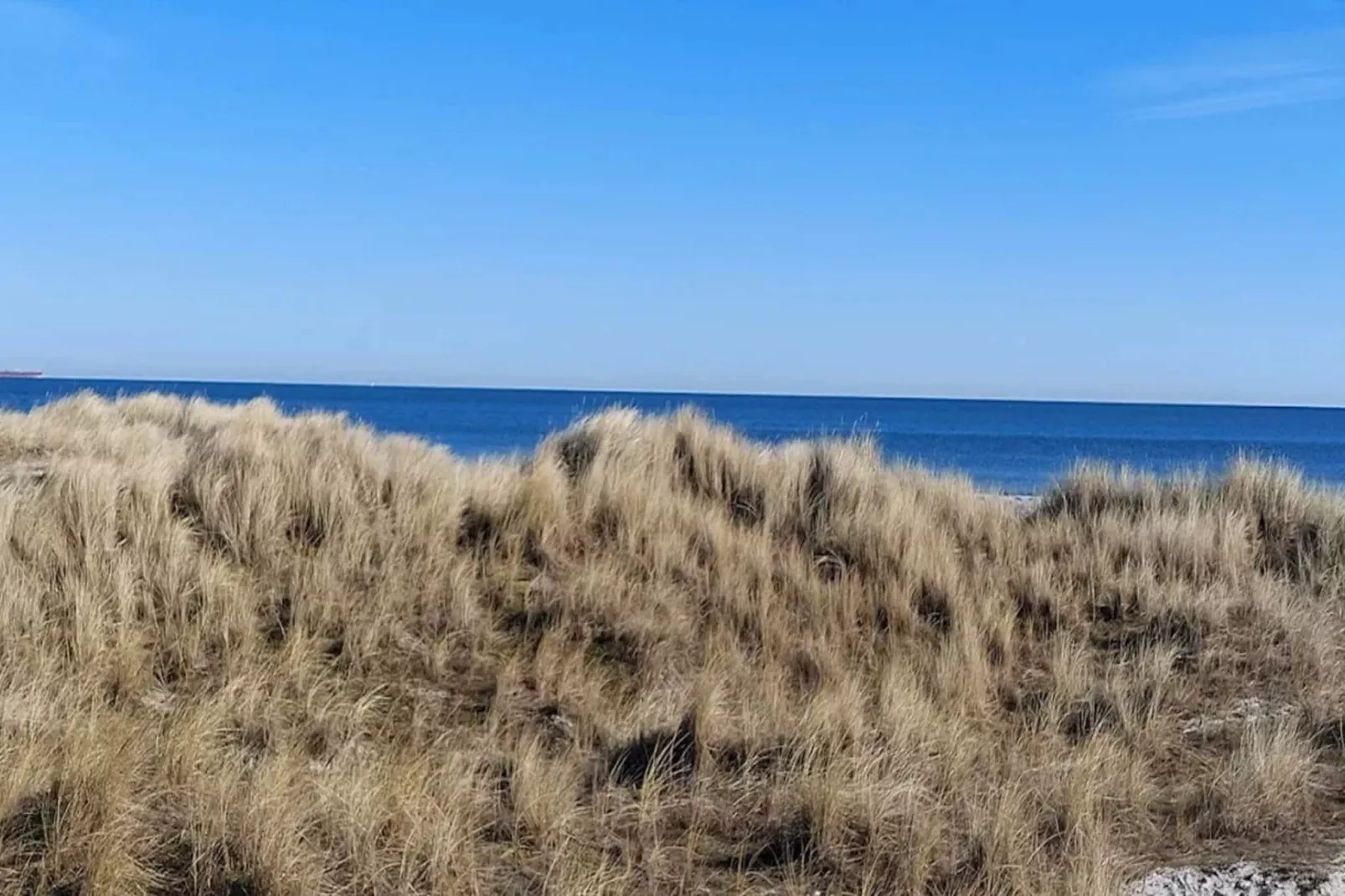 Beachside Oasis in Grena - By Traum Ferienwohnungen-Water view