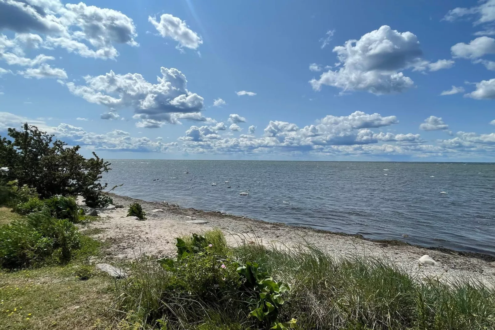 10 Personen Ferienhaus in Mörbylånga-By Traum-Nicht zugeordnet