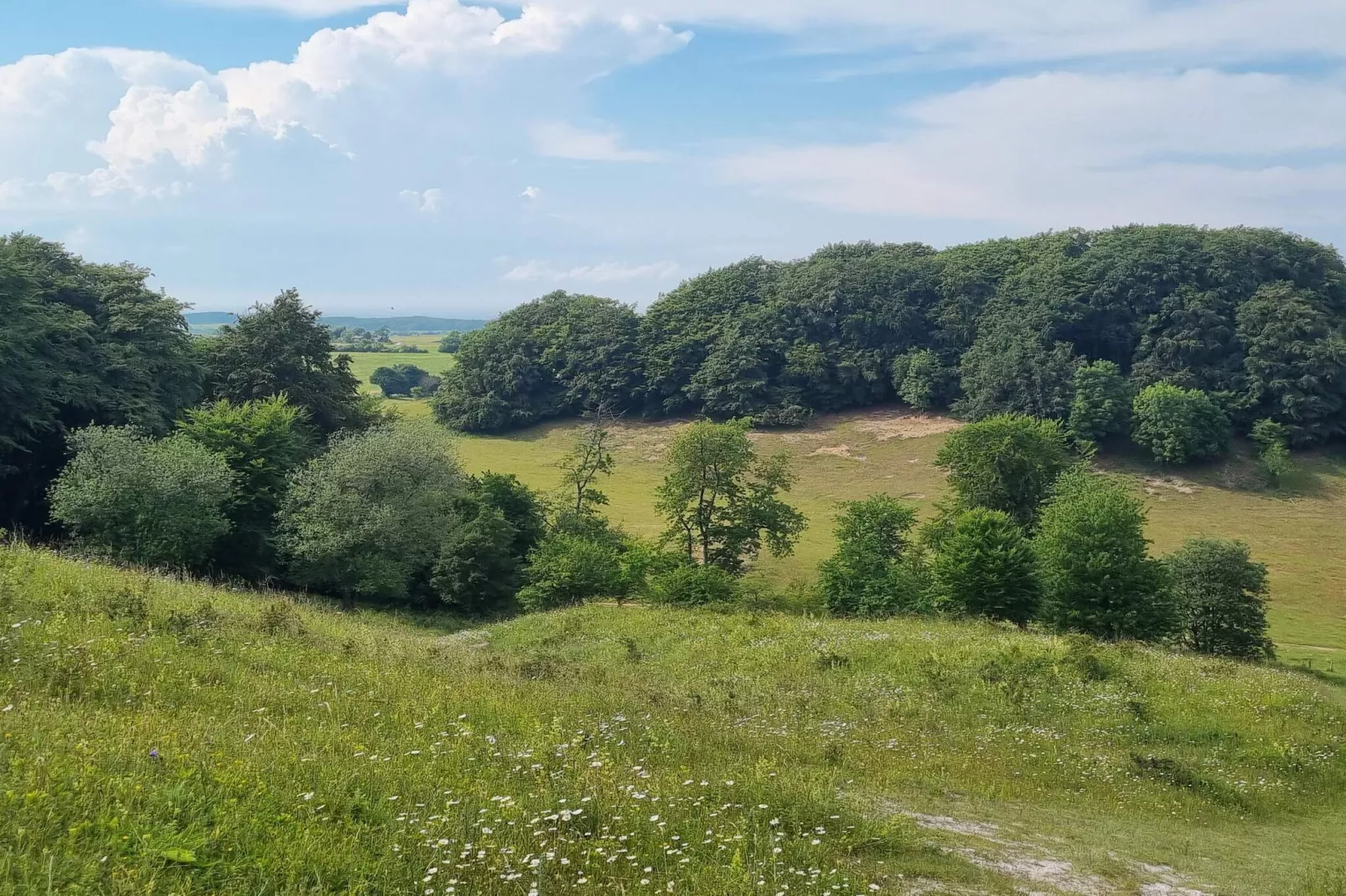 Maison de vacances pour 4 a Stege-By Traum-Non tagué