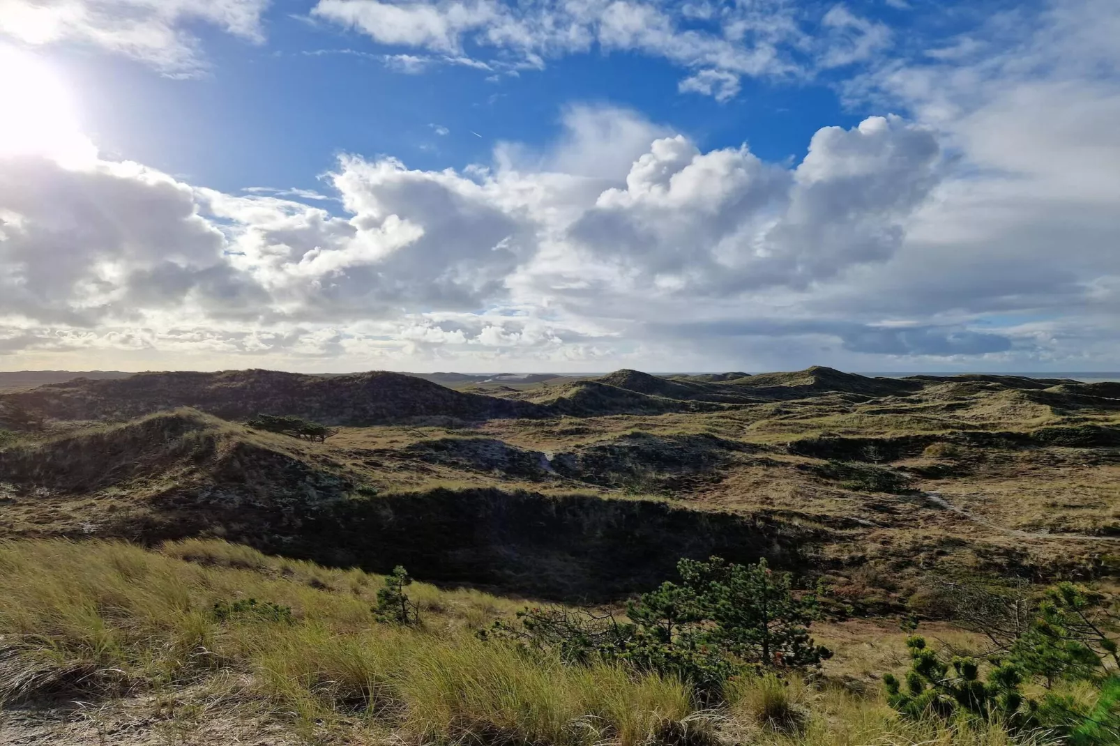 6 person holiday home in Ulfborg-By Traum-Untagged