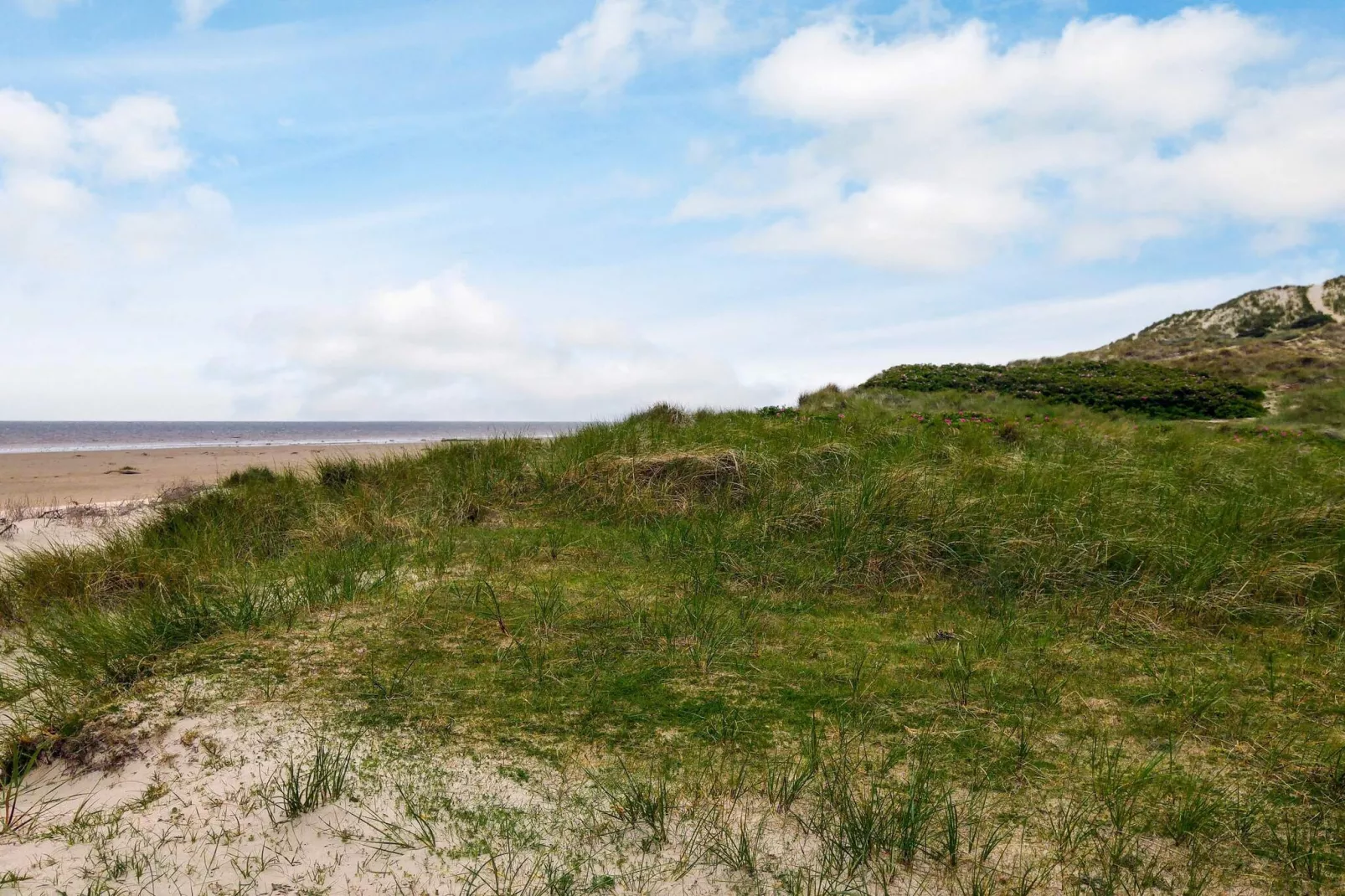 12 person holiday home in Fanø-By Traum-Water view