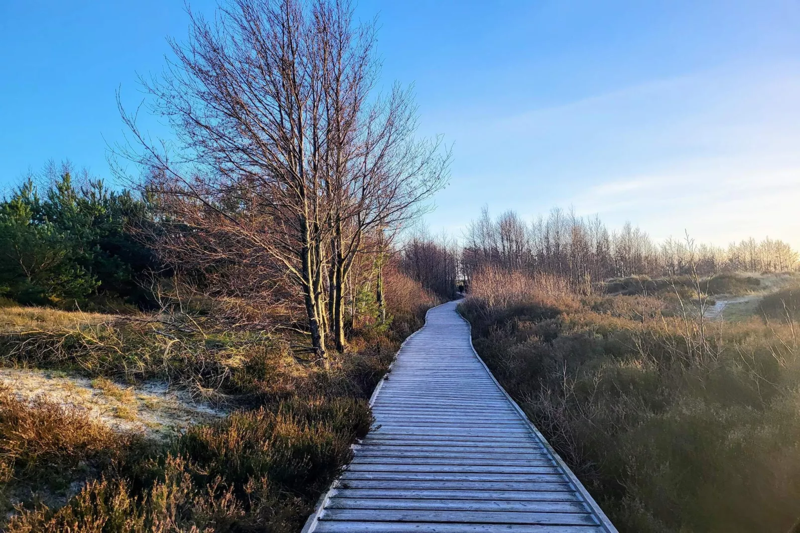 Modern Cottage near Beach - By Traum Ferienwohnungen-Untagged