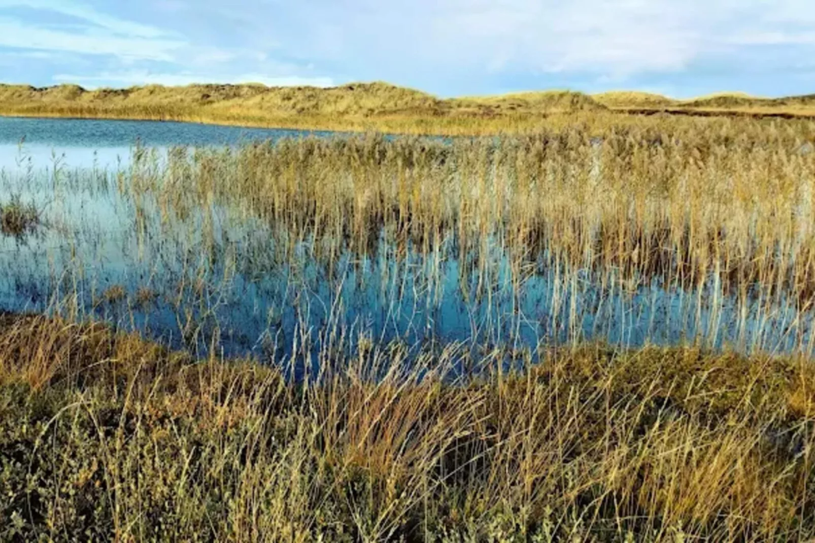 Modern Retreat in Graerup - By Traum Ferienwohnungen-Water view