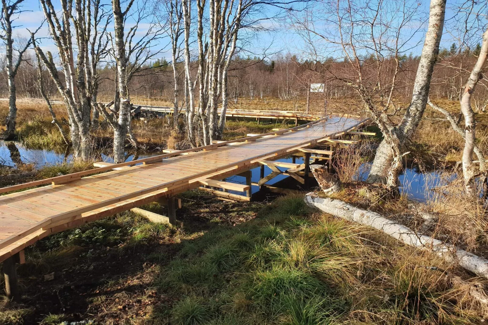 Rotes Bauernhaus in der Nähe von Forsheda-Wasserblick