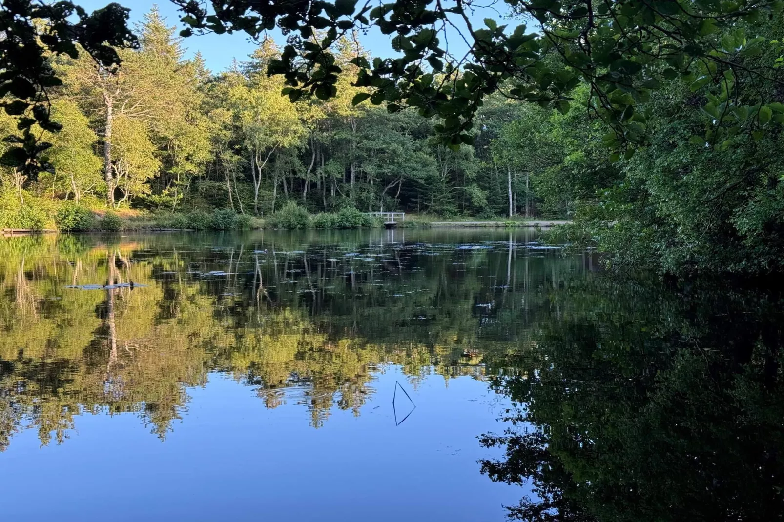 6 Personen Ferienhaus in Bindslev-By Traum-Wasserblick