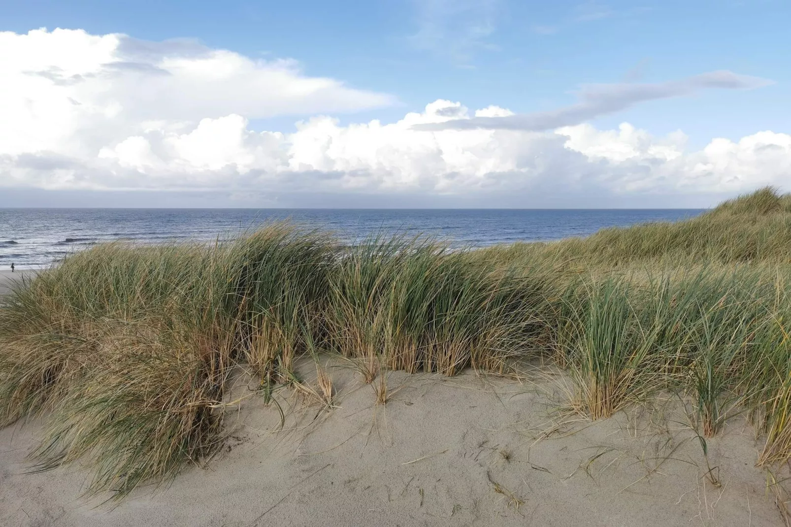 4 Personen Ferienhaus in Henne-By Traum-Nicht zugeordnet