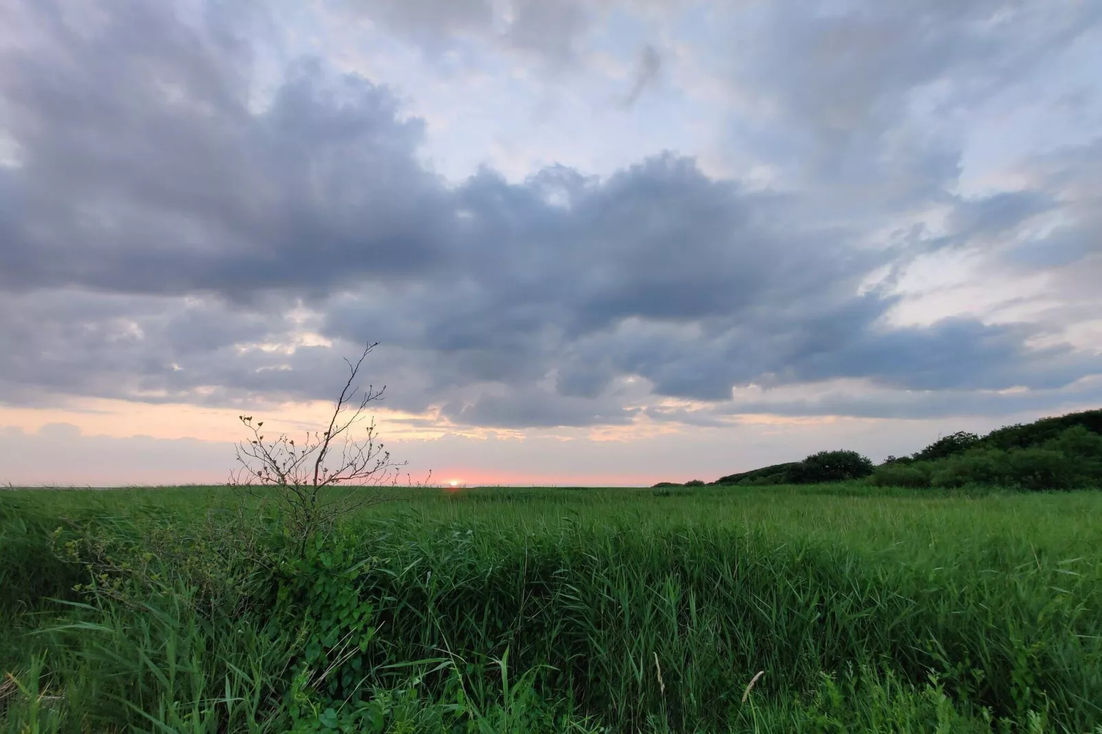 4 Personen Ferienhaus in Skjern-By Traum-Nicht zugeordnet