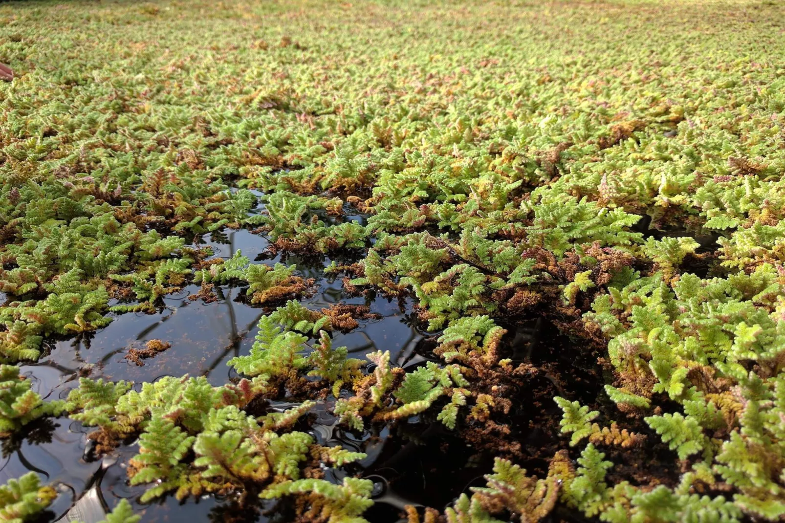 9 person holiday home in Hurup Thy-By Traum-Water view