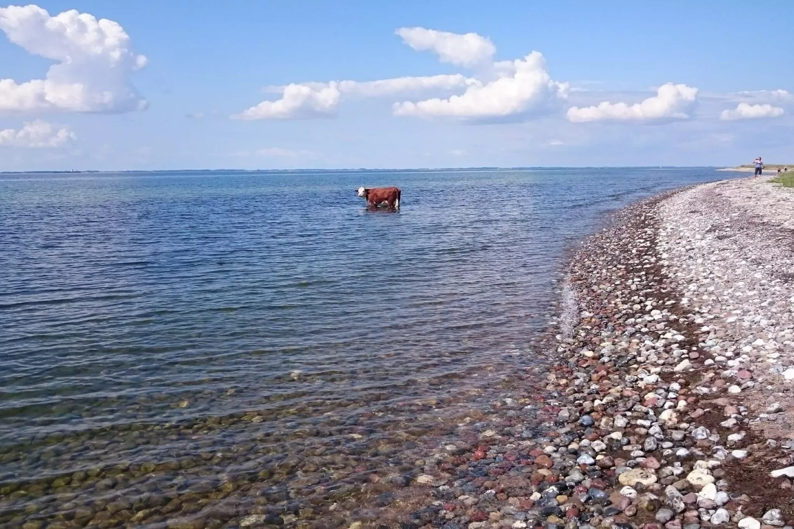 Maison de vacances pour 6 a Nakskov-By Traum-Vue sur l'eau