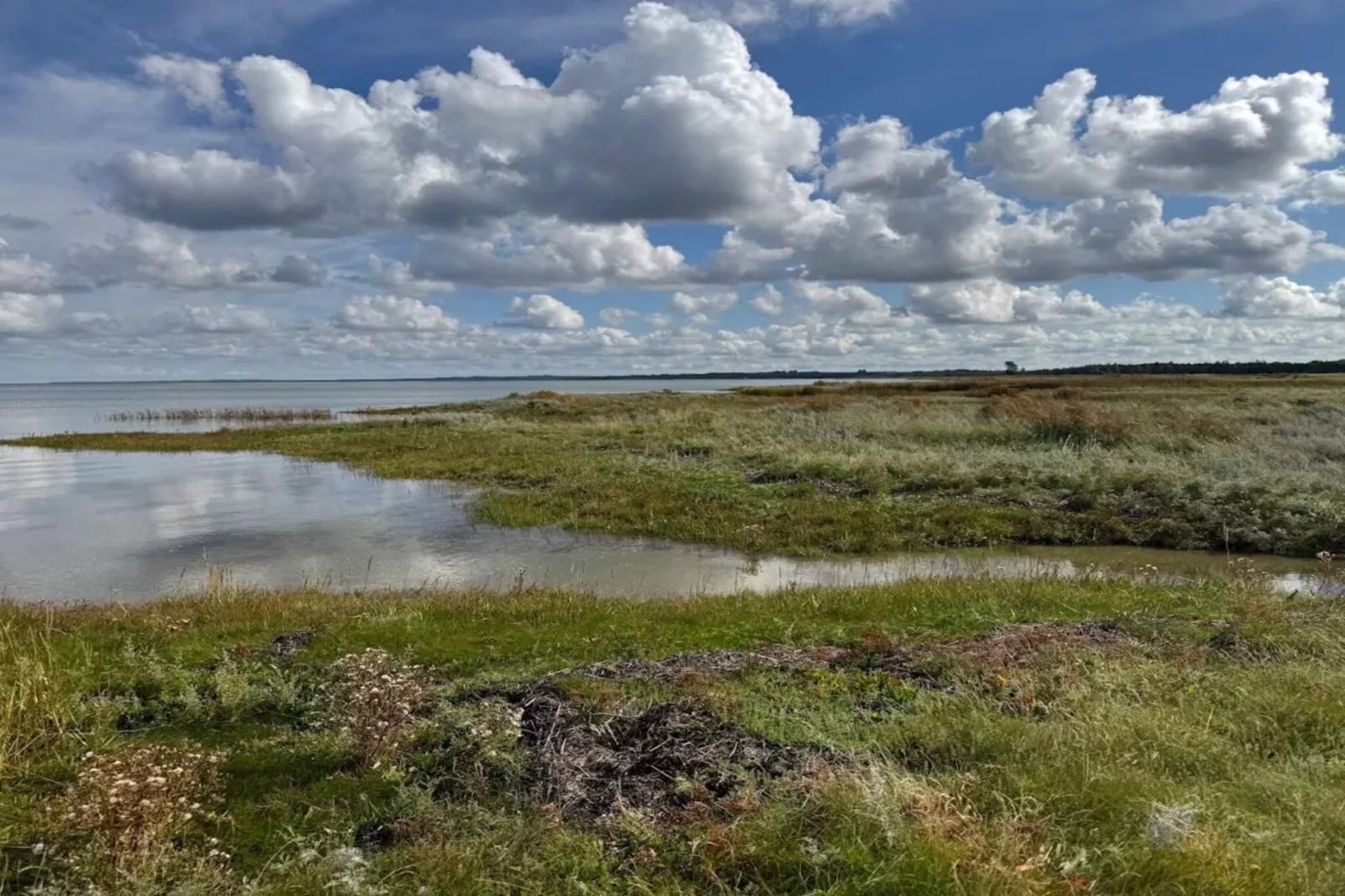 11 Personen Ferienhaus in Ørsted-By Traum-Wasserblick