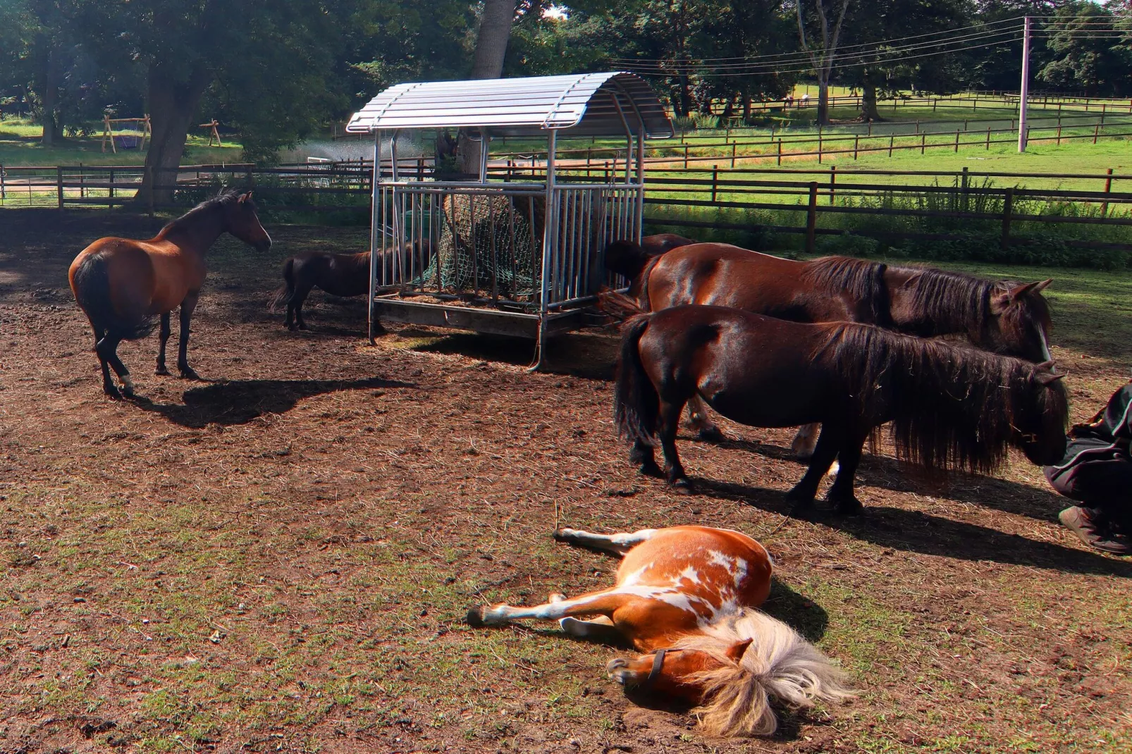 Haus Oliver 200 qm / 1-2 Personen-Gardens in summer