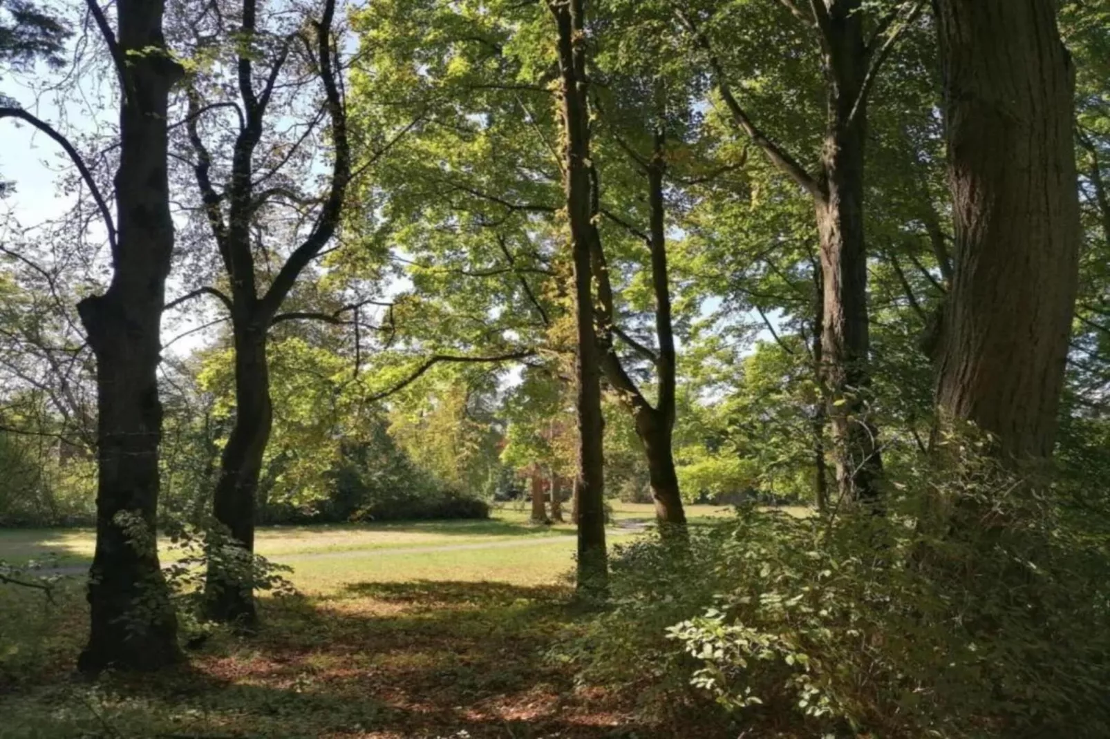 Weserbergland - Bad Pyrmont-Areas within 20km in summer