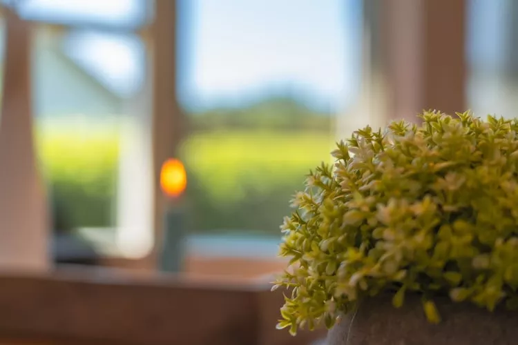 Sommerhus-nordlys 80 qm-Ambiance