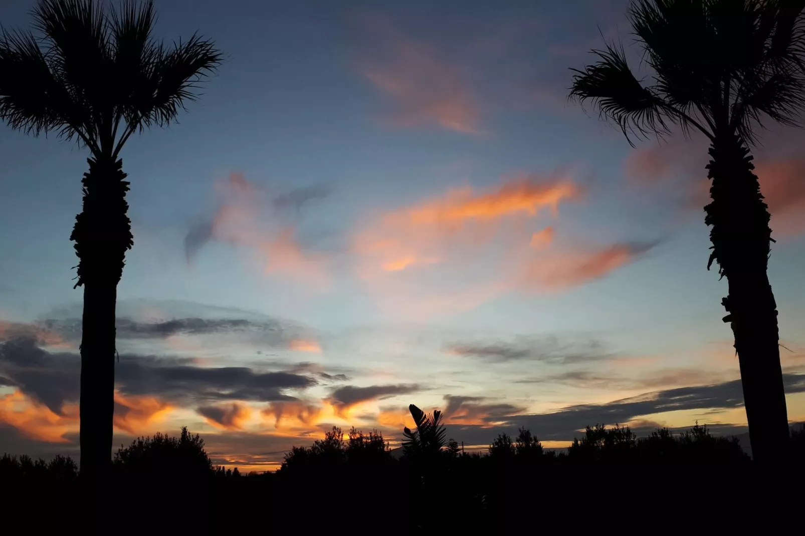 Can Serra-Areas within 5km in summer