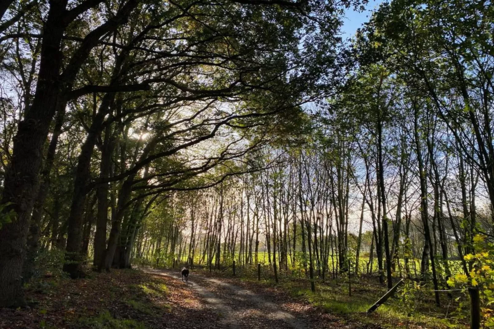 Vakantiepark De Lochemse Berg 1-Areas within 20km in summer