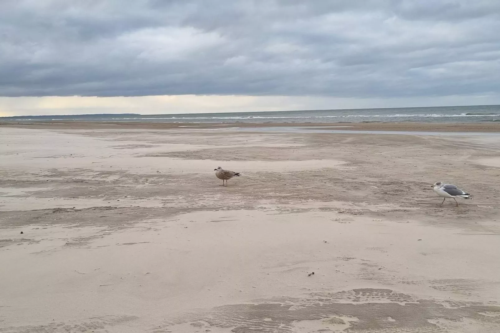 6 Personen Ferienhaus in Saltum-By Traum-Wasserblick