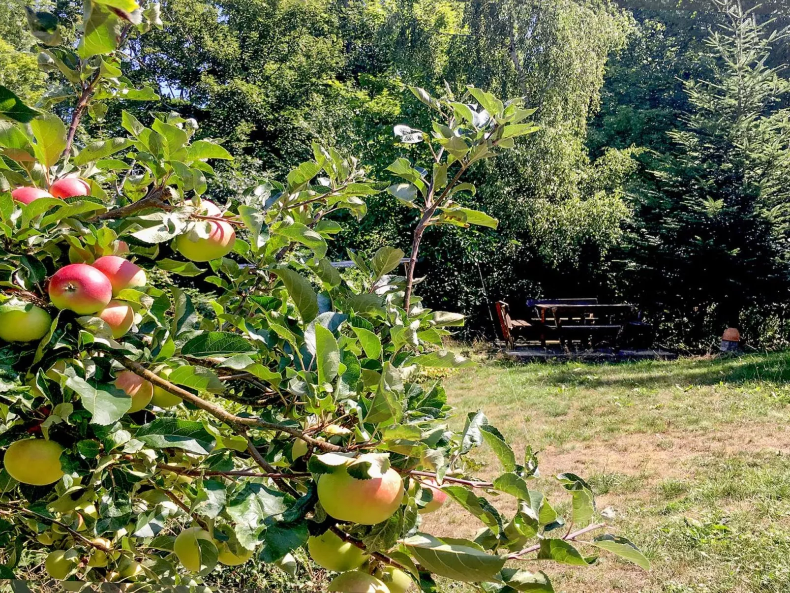 "Hannele" - 200m from the sea-Dehors