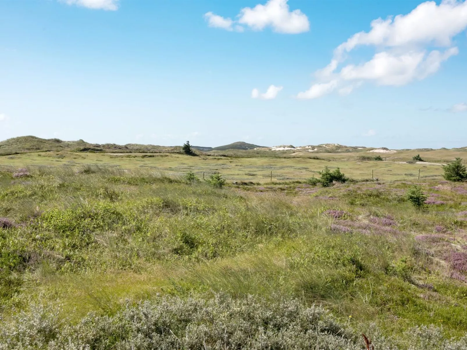 "Dorothea" - 450m to the fjord-Draußen